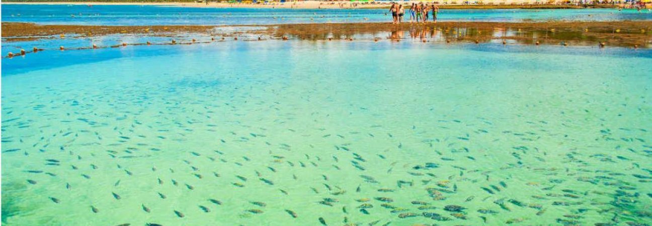 PORTO DE GALINHAS - AGOSTO A OCTUBRE
