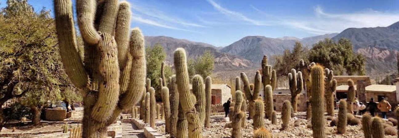 NORTE SALTA - TILCARA