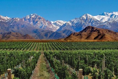 MENDOZA Y TERMAS DE CACHEUTA -AÑO NUEVO