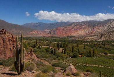 NORTE MAGICO: VALLES Y QUEBRADAS (SALTA - CAFAYATE - JUJUY 7 NOCHES)