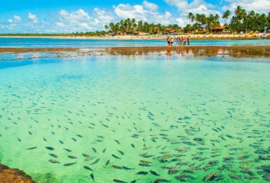 PORTO DE GALINHAS - AGOSTO A OCTUBRE