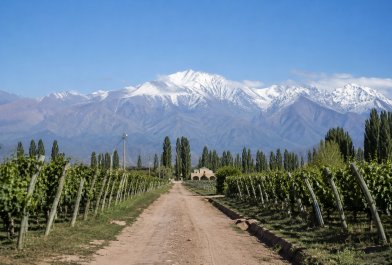 SAN RAFAEL/TERMAS DE CACHEUTA/MENDOZA
